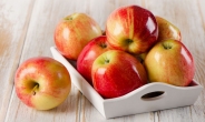 [생활의 발견] 흠집 있는 사과, 맛에도 흠이…과일 잘 고르는 법