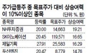 NH투자증권·SK이노베이션·제일기획…추가 상승여력 주목