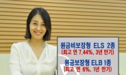 IBK투자증권, 원금비보장형 ELS 2종, 원금보장형 ELB 1종 공모