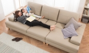 <신상품톡톡>현대리바트, 침대+소파 다기능소파 ‘버베나’ 출시
