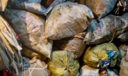 쓰레기 넘쳐나는 뭄바이, 아시아 최대 쓰레기 매립지 데오나르는 포화상태