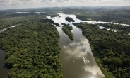 “아마존 열대우림, 이산화탄소 흡수 능력에 문제 생겼다”…이산화탄소 흡수 못하면 기후변화 막지 못해