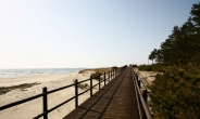 [남민 기자의 테마있는 명소] 안면도 리솜오션캐슬 ‘해변길 걷기’…바닷가ㆍ소나무숲 그리고 낭만 품는다