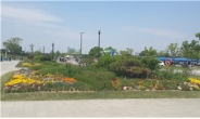 서울시, 한강공원 40㎞에 ‘꽃길’ 조성