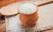 “쌀밥, 냉장고에 보관했다 먹으면 칼로리 절반 감소”