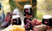 벚꽃아래 와인 한잔…나들이용 ‘컵 와인’ 출시