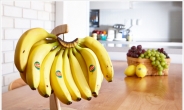 ‘검은 반점 바나나’가 면역력 최고라고?