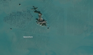 [렌즈로 본 지구] 파도가 키운 해초…체스판 같은 남쪽바다