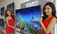 ‘OLED TV’시장 커진다