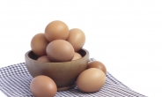 국내 축산식품 중 식중독위험 가장 큰 식품은? 계란
