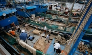 中 어선은 바다의 무법자? 서아프리카서 불법 조업 급증