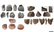 330만년전 석기 발견…인류 최초의 도구 역사 새로 써