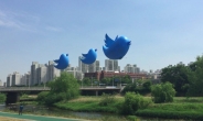 공원에 파랑새가 뜬 이유? ‘트위터 날다’ 프로젝트 가동