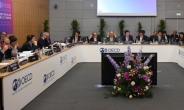 최경환 OECD 지속가능 성장 분임토론