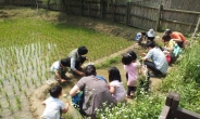 송파구, 여름철 자연생태체험교실 운영
