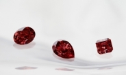 리오틴토, 진귀한 핑크와 붉은 다이아몬드 65개 공개