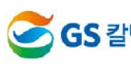 [신기술·신시장이 미래다]GS칼텍스…고부가 복합소재·바이오 연료개발 집중