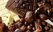 5년간 초콜릿산업 최대 노다지 국가는?