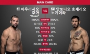 노게이라, UFC 노장의 안타까운 판정패…왕년의 기량은?