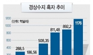 한국경제‘네덜란드병’경계령