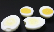 “계란 노른자, 항암 효과에 DNA 손상까지 억제”