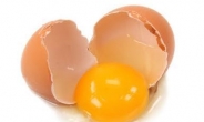 계란 노른자, ‘콜레스테롤 덩어리’ 옛말…‘항암 효과에 DNA 손상 억제까지’