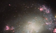 [Space] 허블이 담다…별들의 향연, NGC 428