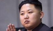 김정은, 중국 열병식 불참 가능성 높다