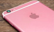 “아이폰6S 핑크 모델은 없다” 中 관계자 발언 화제