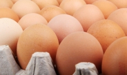 천정부지 계란값, 해법은 대체제?