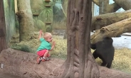 [영상]‘나 잡아봐라’...아기 고릴라와 인간 아이의 숨바꼭질