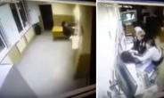 [영상] 좁은 창으로 절묘한 탈출…러시아 도둑 영상 ‘화제’