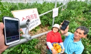 [창조경제 첨병] SK텔레콤, ‘농업+ICT’로 스마트농업 이끈다