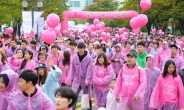 [포토뉴스] 제3회 유방암 예방 걷기 대회