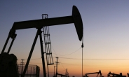 OPEC, “미국 내년이면 8년 만에 석유생산 감소할 것”
