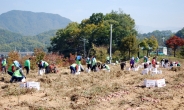 [포토뉴스] 도로교통공단 임직원, 원주서 농촌 일손돕기 봉사