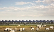 OCI ‘북미 최대 태양광발전 프로젝트’서 추가 계약 수주