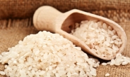 EU, 쌀에서 추출한 단백질활용 기술 개발 성공