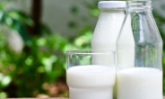 [리얼푸드] 우유가 암세포 증식? 대장암·유방암 등 발병률 억제 효과