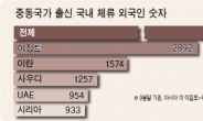 중동출신 국내체류 외국인 1만1462명…시리아는 933명