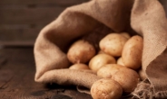[리얼푸드] 감자 vs 고구마, 어떤 것이 더 건강할까