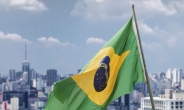 브라질 자산 헐값 매각 신호탄 되나?…‘투기등급’ 나락으로 떨어진 브라질