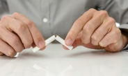 [금연캠프 기자체험기] 담뱃값 올려도…성인 흡연율 감소세 주춤