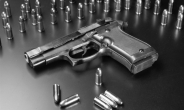 [美 총기의 역설, 어쩌다 이지경까지]美 총기 판매량 역대 최대 전망…최근 7년새 두 배 폭증