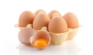 네슬레, 2020년까지 미국서 자연 방사 달걀 사용하기로