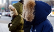 최강 추위, 다음주까지 버텨야…서울 -8.5℃