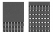 삼성전자, 컴퓨터 속도 7배 더 높인다...세계 최초 ‘4기가바이트 HBM D램’ 양산