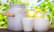 [리얼푸드] 미살균 우유, 美서 10년간 폭발적으로 성장