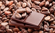 [리얼푸드] 코코아 부족으로 초콜릿 가격 상승