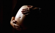[지카 바이러스 대유행 ②]임신 3개월까지가 가장 위험…‘임신 금지령’ 내린 이유